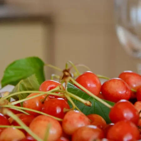 Silvana Sunset View Apartamento *