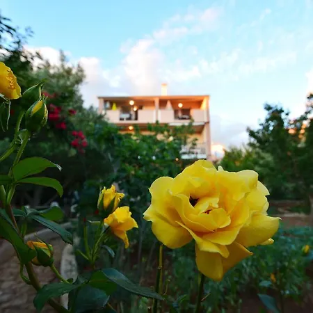 Silvana Sunset View Zadar