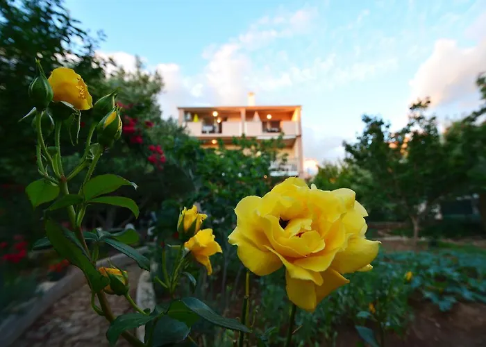 Silvana Sunset View Задар