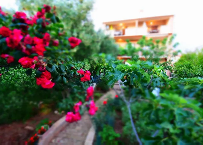 Апартаменты Silvana Sunset View *